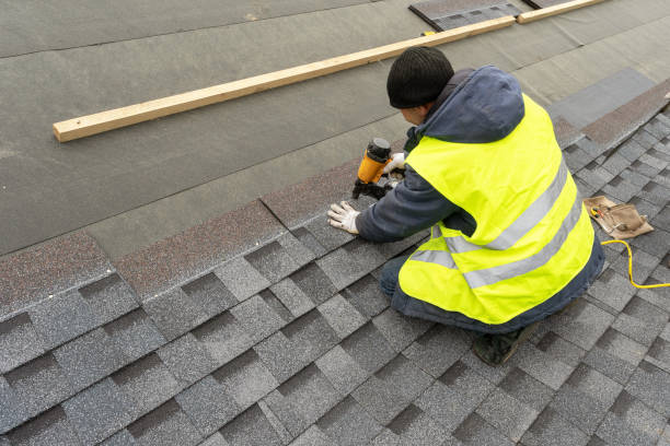 Best Roof Gutter Cleaning  in West Hamburg, PA