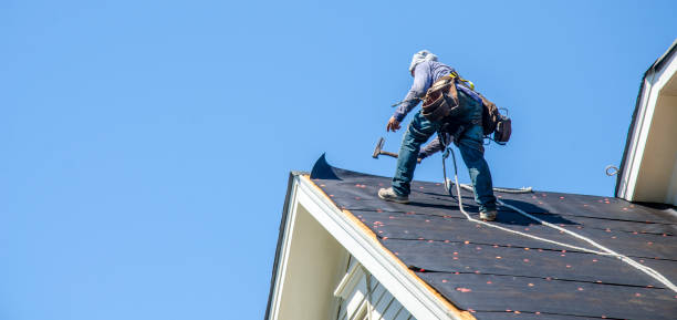 Best Local Roofing Companies  in West Hamburg, PA